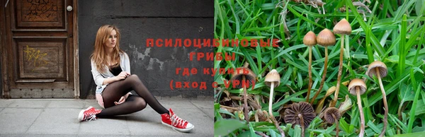 индика Пролетарск