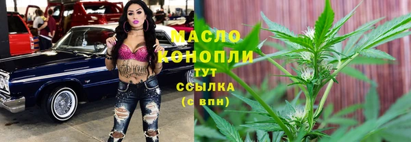 индика Пролетарск
